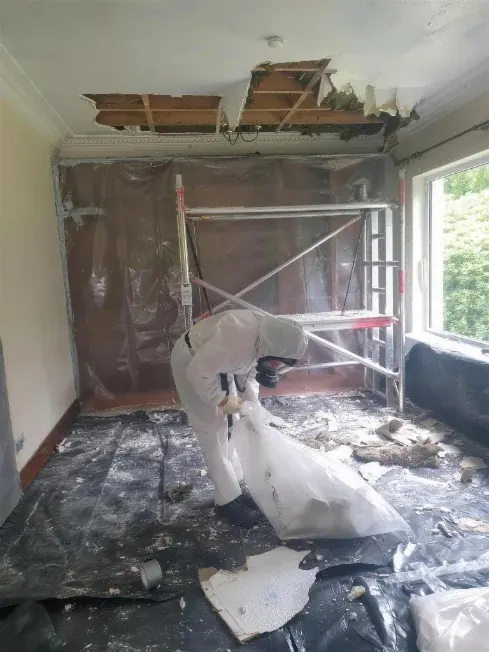 Operative in coveralls and respirator bagging debris beneath a stripped artex ceiling inside a sheeted room